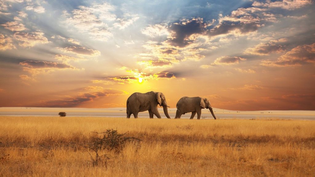 South Africa, Victoria Falls and Mauritius - 20 Days